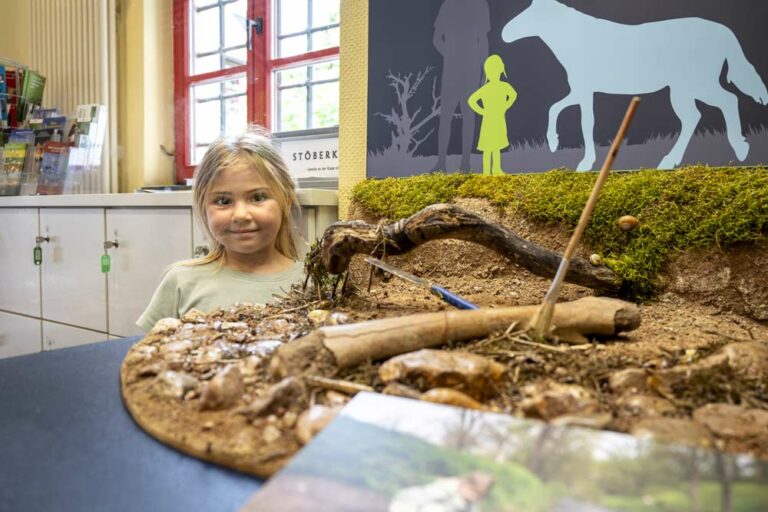 Fünfjährige aus Erfurt entdeckt prähistorischen Pferdeknochen
