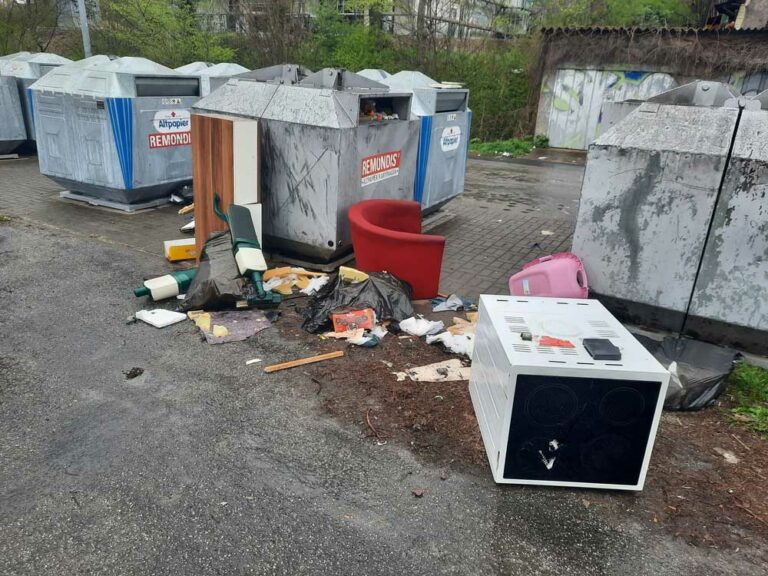 Illegale Müllentsorgung an Müllcontainerstandorten: Ein wachsendes Problem