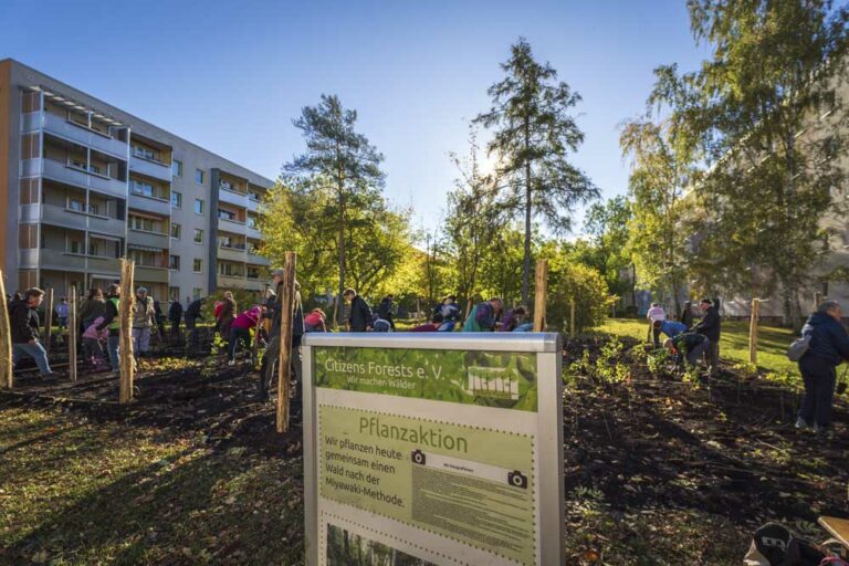 Erfurt wird für herausragenden Naturschutz ausgezeichnet