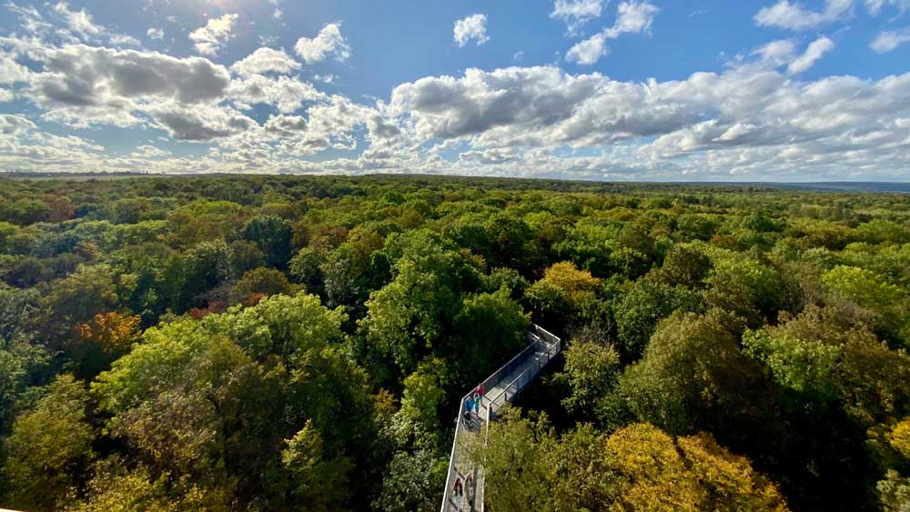 Der Nationalpark Hainich und der Baumkronenpfad